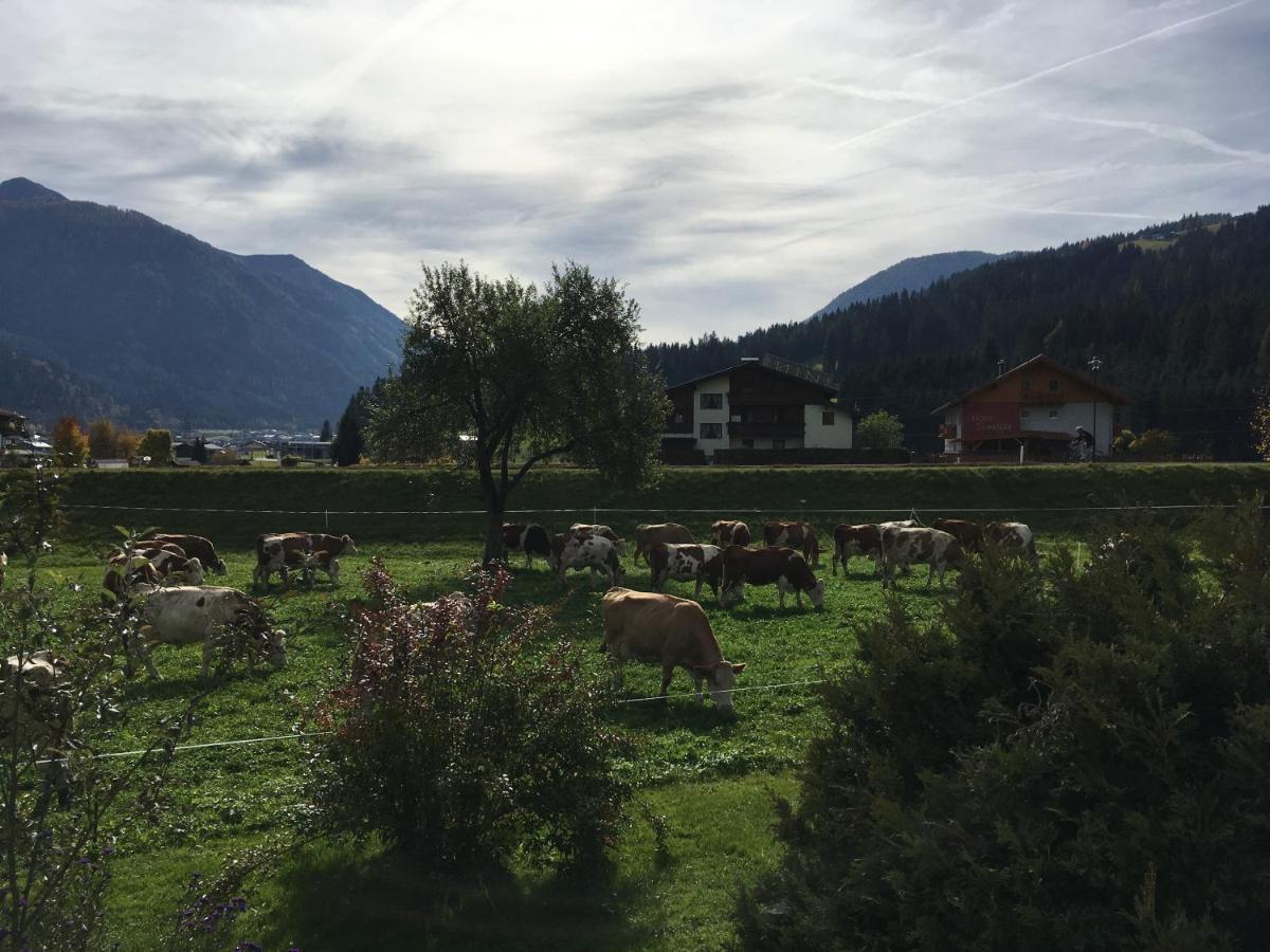 Scharfetthof Villa Flachau Exterior foto